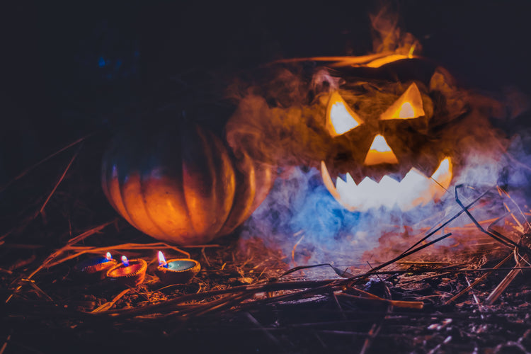 Broluxe Ltd. Co. XL American Bully Halloween Collection