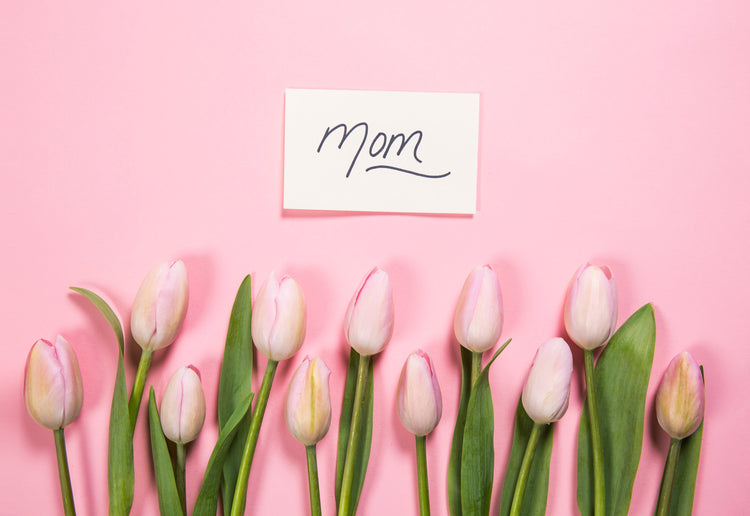 Broluxe Ltd. Co. | XL American Bully | Mother's Day Collection