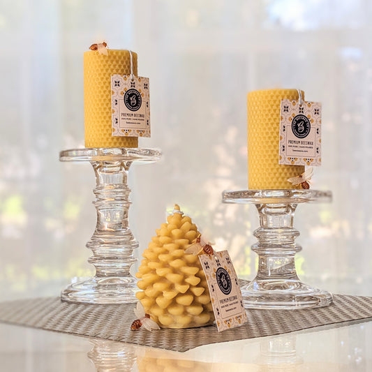 Broluxe Ltd. Co. XL American Bully Beeswax Co. - Pinecone - Pet Safe Beeswax Candle