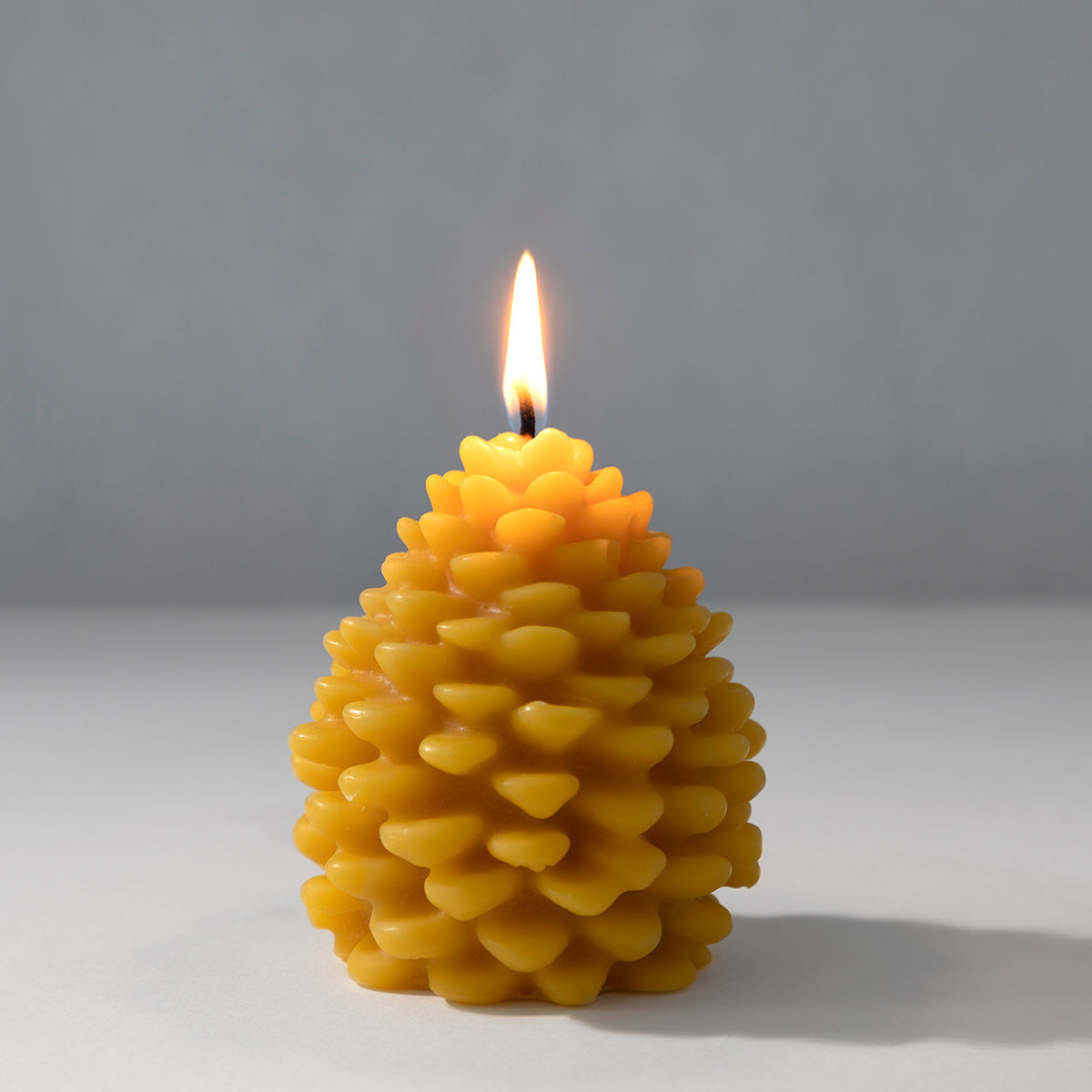 Broluxe Ltd. Co. XL American Bully Beeswax Co. - Pinecone - Pet Safe Beeswax Candle