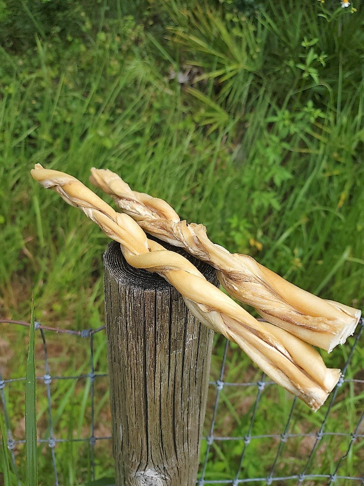 Broluxe Ltd. Co. XL American Bully | BullySticks Organic 12in Braided Beef Cheek Stick