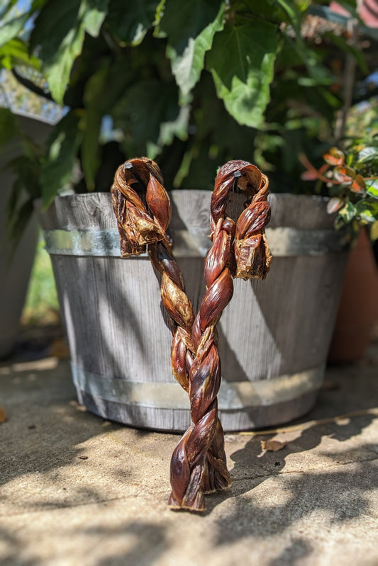 Broluxe Ltd. Co. XL American Bully | BullySticks Organic 12in Braided Esophagus (Gullet) Stick Cane
