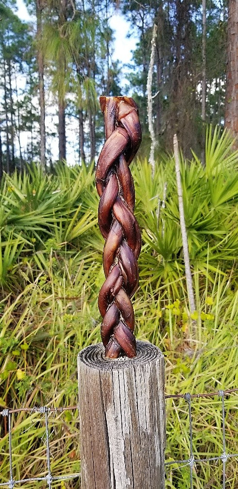 Broluxe Ltd. Co. XL American Bully | BullySticks Organic 12in XL Braided Bully Stick