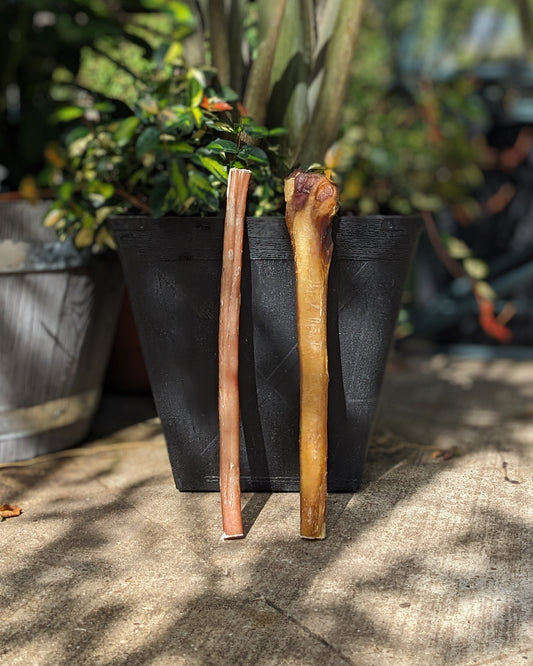 Broluxe Ltd. Co. XL American Bully | BullySticks Organic 12in XL & Standard Bully Stick