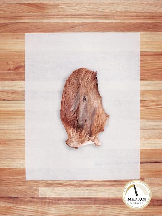 Broluxe Ltd. Co. XL American Bully | Farm Hounds Standard Beef Ear with Hair Chew
