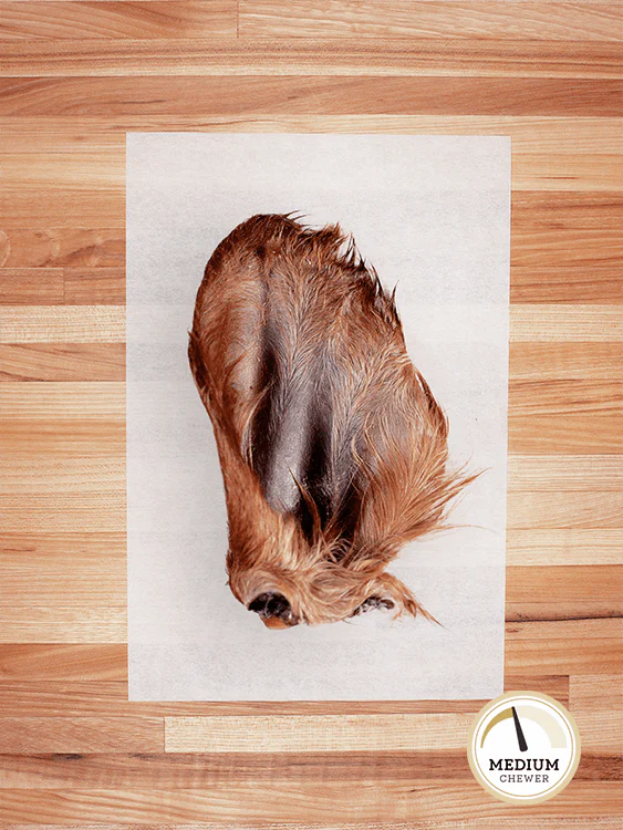 Broluxe Ltd. Co. XL American Bully | Farm Hounds Standard Beef Ear with Hair Chew