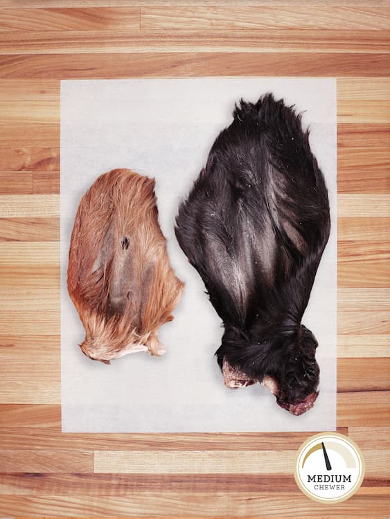 Broluxe Ltd. Co. XL American Bully | Farm Hounds XL & Standard Beef Ear with Hair Chew