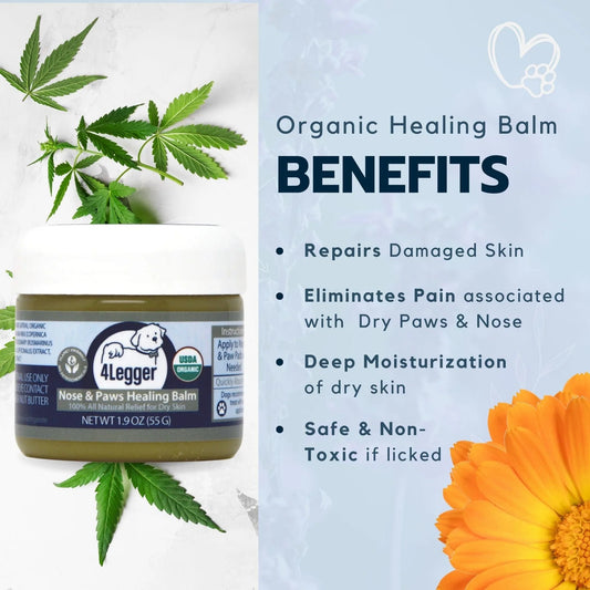 Broluxe Ltd. Co. XL American Bully 4-Legger Healing Balm for Dog Nose and Paw Pads with SPF 15 - USDA Certified Organic