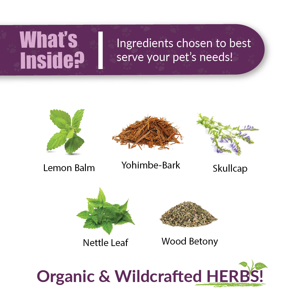 Broluxe Ltd. Co. XL American Bully | Amber NaturalZ DermaNERV Nerve Support Ingredients