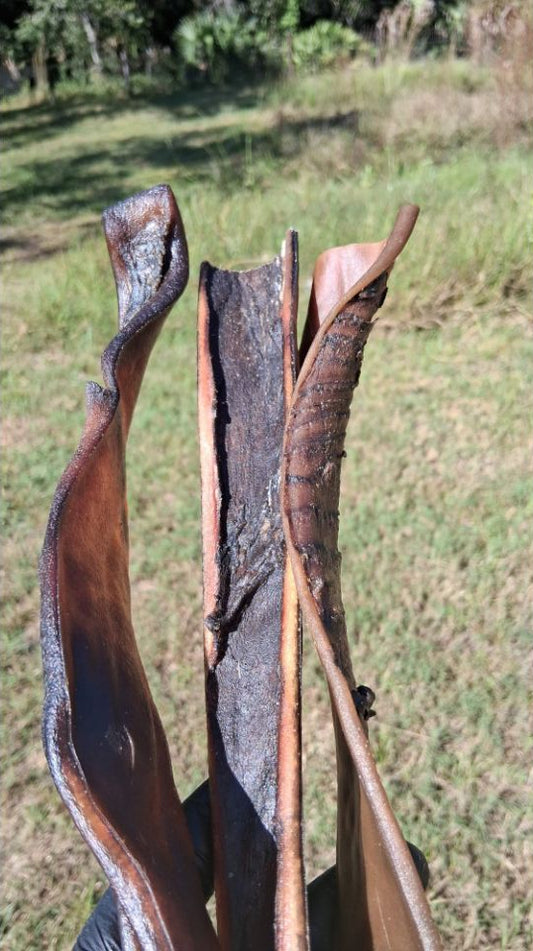 Broluxe Ltd. Co. XL American Bully | BullySticks Organic 12in Camel Skin Chew