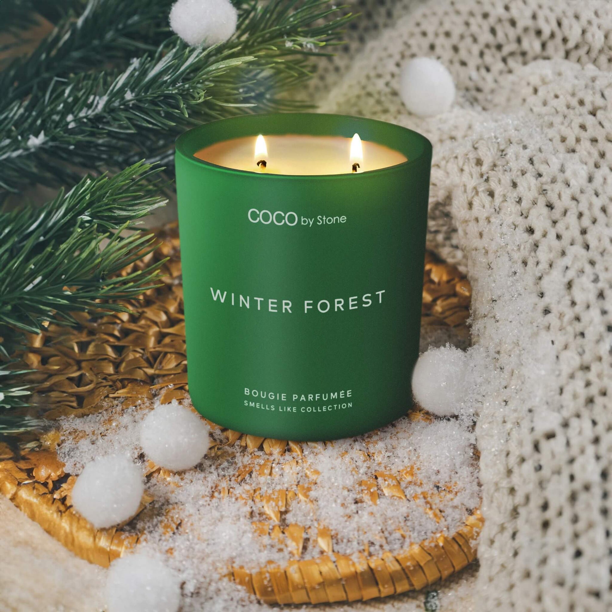 Broluxe Ltd. Co. XL American Bully COCO by Stone Winter Forest - Pet Safe Coconut Wax Candle - Food Grade Certified