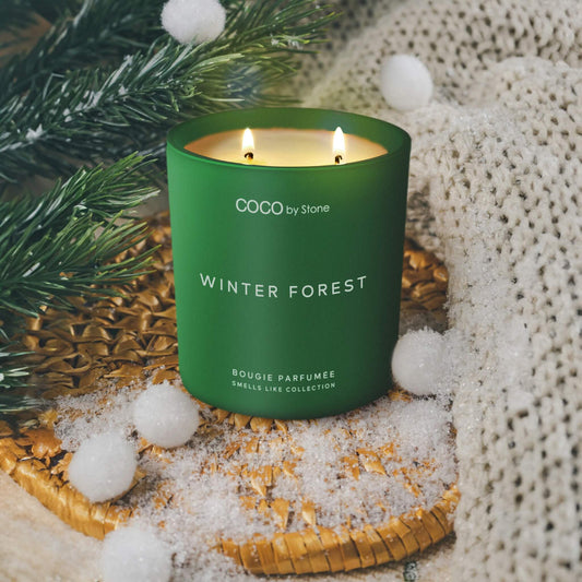 Broluxe Ltd. Co. XL American Bully COCO by Stone Winter Forest - Pet Safe Coconut Wax Candle - Food Grade Certified