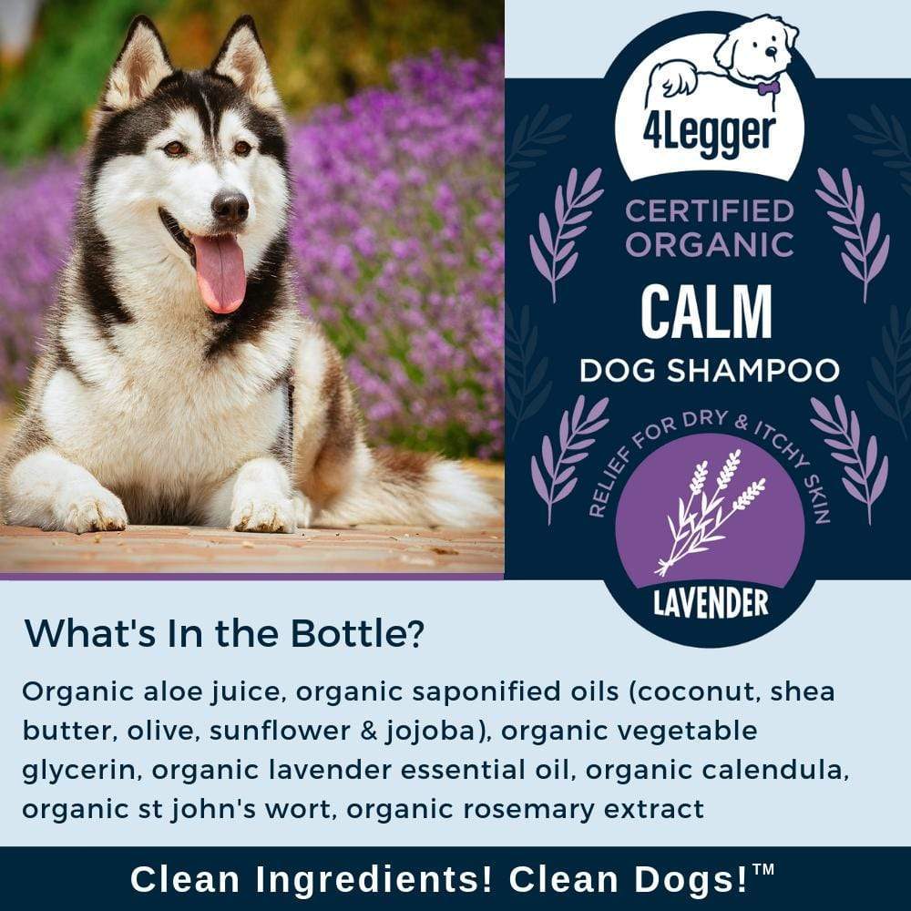 Broluxe Ltd. Co. XL American Bully 4-Legger CALM - Pet Shampoo for Dry Itchy Skin - Lavender with Calendula and St. John's Wort - USDA Certified Organic