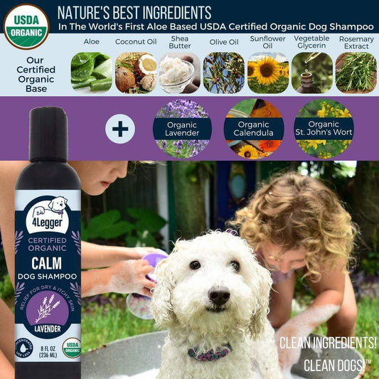 Broluxe Ltd. Co. XL American Bully 4-Legger CALM - Pet Shampoo for Dry Itchy Skin - Lavender with Calendula and St. John's Wort - USDA Certified Organic