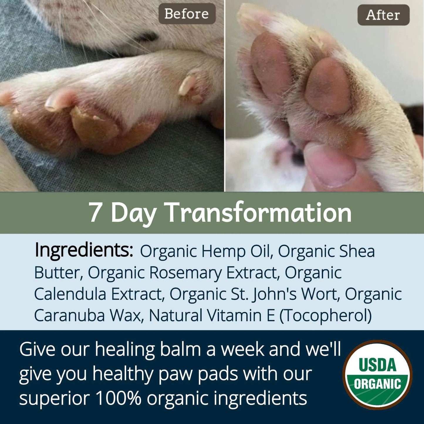 Broluxe Ltd. Co. XL American Bully 4-Legger Healing Balm for Dog Nose and Paw Pads with SPF 15 - USDA Certified Organic