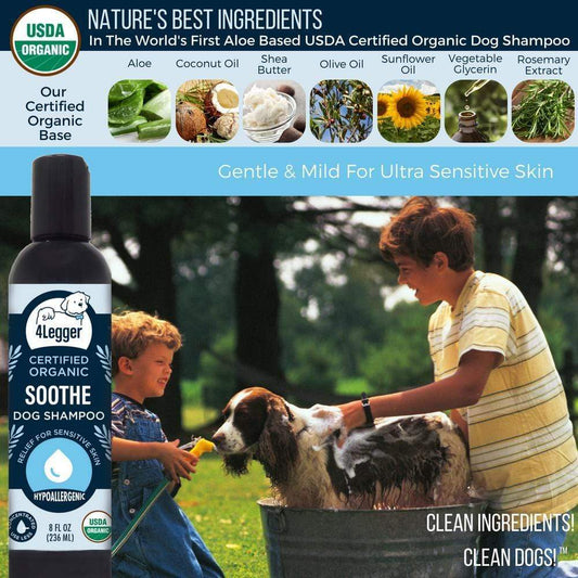 Broluxe Ltd. Co. XL American Bully 4-Legger SOOTHE - Dog Shampoo for Sensitive Skin - Aloe Hypoallergenic and Fragrance Free (Unscented) - USDA Certified Organic