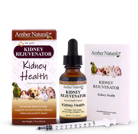 Broluxe Ltd. Co. XL American Bully Amber NaturalZ KIDNEY REJUVENATOR Kidney Health 1 oz