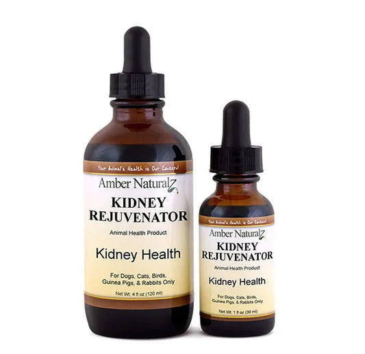 Broluxe Ltd. Co. XL American Bully Amber NaturalZ KIDNEY REJUVENATOR Kidney Health 1 oz 4 oz