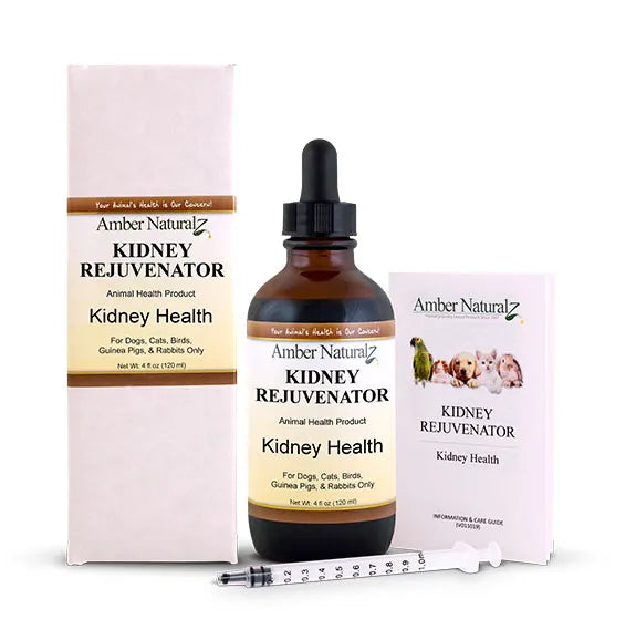 Broluxe Ltd. Co. XL American Bully Amber NaturalZ KIDNEY REJUVENATOR Kidney Health 4 oz