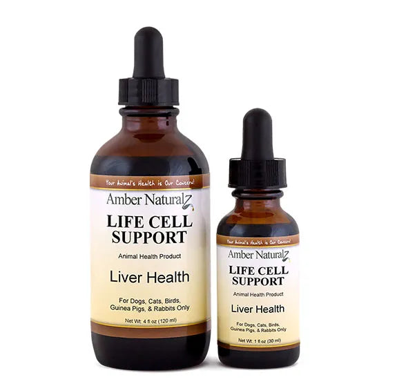 Broluxe Ltd. Co. XL American Bully Amber NaturalZ LIFE CELL SUPPORT Liver Health 1 oz 4 oz