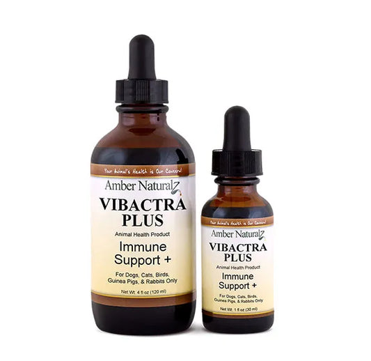 Broluxe Ltd. Co. XL American Bully Amber NaturalZ VIBACTRA PLUS Immune Support 1 oz 4 oz