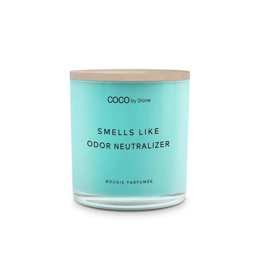 Broluxe Ltd. Co. XL American Bully COCO by Stone Odor Neutralizer - Pet Safe Coconut Wax Candle - Food Grade Certified