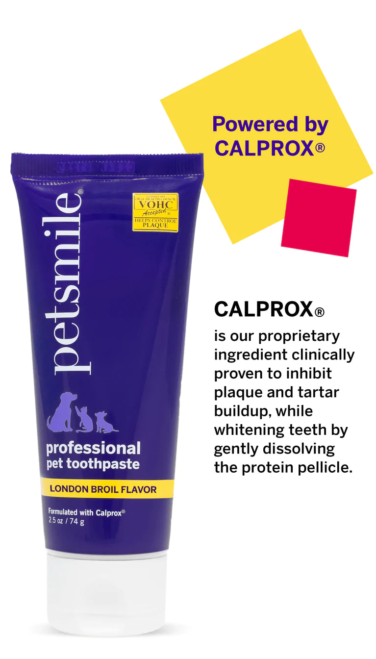 Broluxe Ltd. Co. XL American Bully Petsmile Professional Pet Toothpaste - London Broil Flavor - VOHC Registered Seal