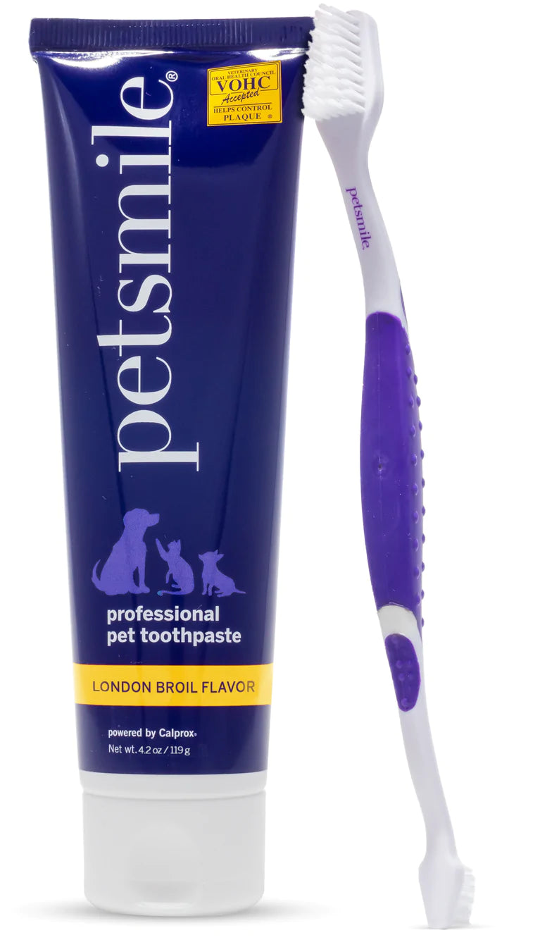 Broluxe Ltd. Co. XL American Bully Petsmile Professional Dental Kit - London Broil Flavor - VOHC Registered Seal