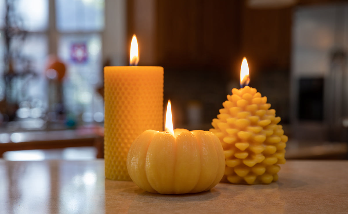 Broluxe Ltd. Co. XL American Bully Beeswax Co. - Honeycomb, Pumpkin & Pinecone - Pet Safe Beeswax Candles