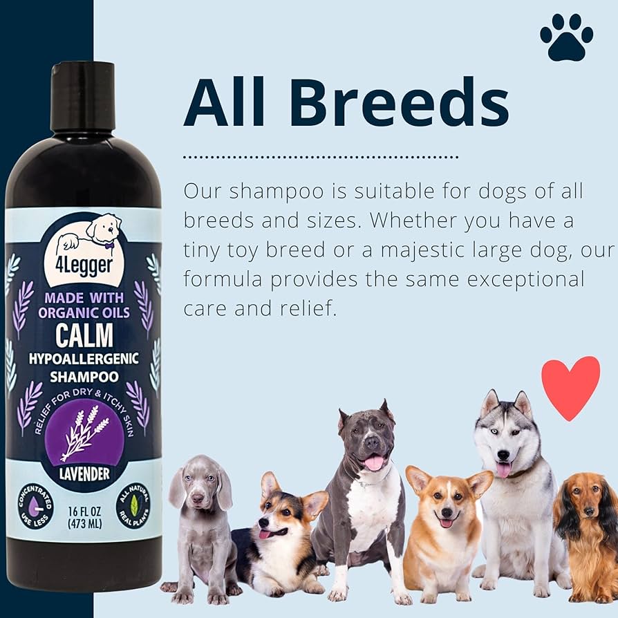 Broluxe Ltd. Co. XL American Bully 4-Legger CALM - Dog Shampoo for Dry Itchy Skin - Lavender with Calendula and St. John's Wort 16oz - USDA Certified Organic