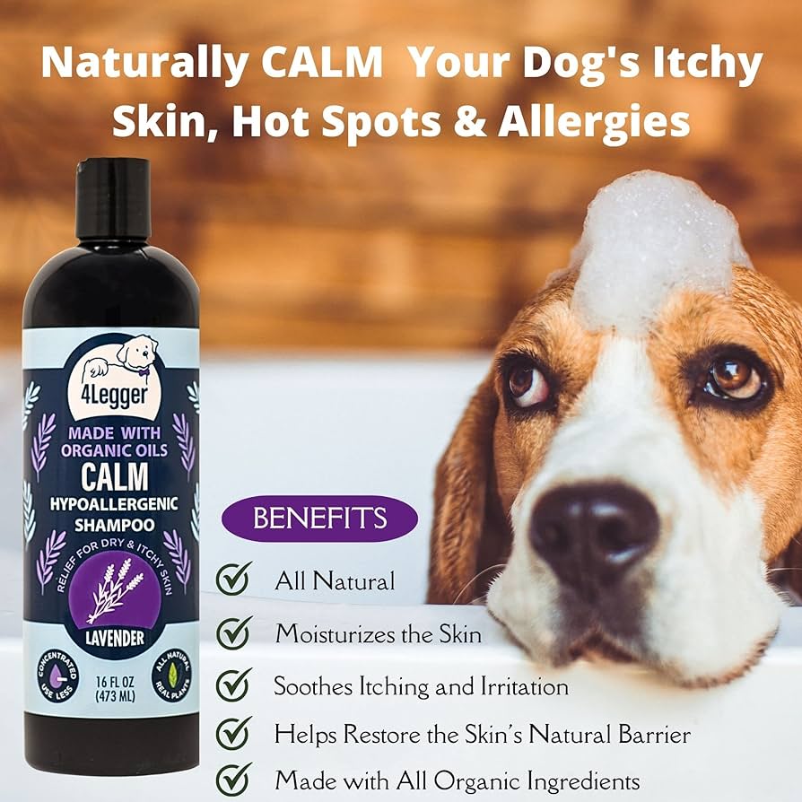 Broluxe Ltd. Co. XL American Bully 4-Legger CALM - Dog Shampoo for Dry Itchy Skin - Lavender with Calendula and St. John's Wort 16oz - USDA Certified Organic