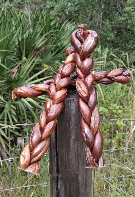 Broluxe Ltd. Co. XL American Bully | BullySticks Organic 12in Braided Esophagus (Gullet) Stick Straight