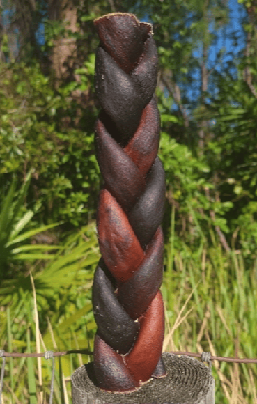 Broluxe Ltd. Co. XL American Bully | BullySticks Organic 9in XL Braided Collagen Stick