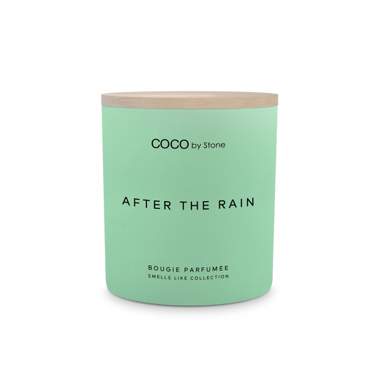 Broluxe Ltd. Co. XL American Bully COCO by Stone Outside After the Rain - Pet Safe Coconut Wax Candle - Food Grade Certified