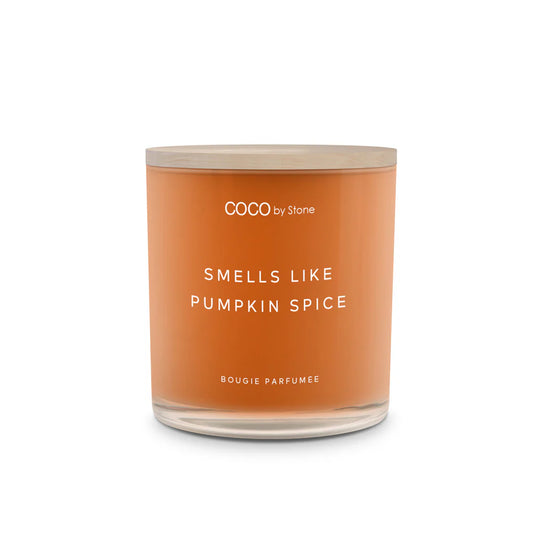 Broluxe Ltd. Co. XL American Bully COCO by Stone Pumpkin Spice - Pet Safe Coconut Wax Candle 11oz - Food Grade Certified