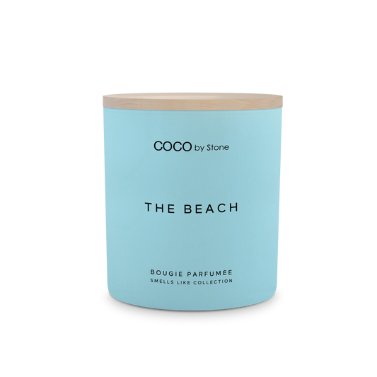 Broluxe Ltd. Co. XL American Bully COCO by Stone The Beach - Pet Safe Coconut Wax Candle - Food Grade Certified