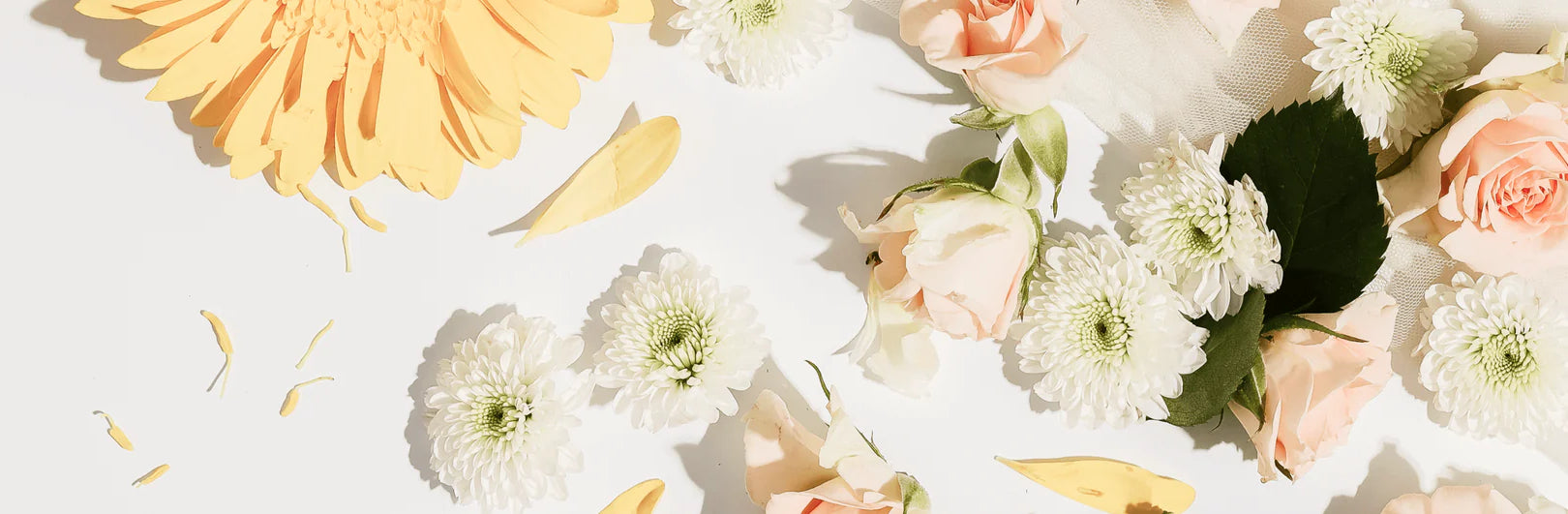 Load video: Broluxe Ltd. Co. | Get to know pet safe Pura diffusers and fine fragrances...