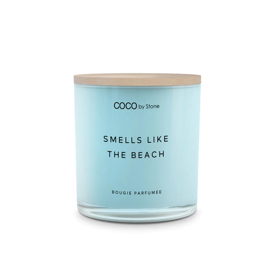 Broluxe Ltd. Co. XL American Bully COCO by Stone The Beach - Pet Safe Coconut Wax Candle - Food Grade Certified