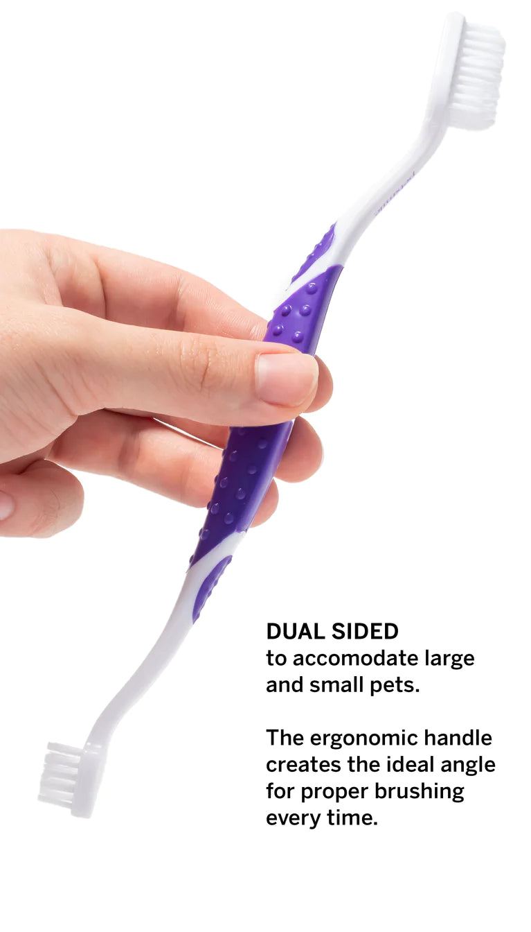 Broluxe Ltd. Co. XL American Bully Petsmile Professional Pet Toothbrush - Patented 45° Dual-Ended Brush Head